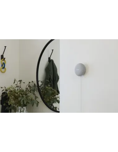 Assistant vocal - Google Nest mini - Micro espion GSM