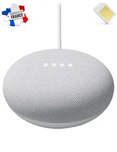 Assistant vocal google nest mini micro GSM 2