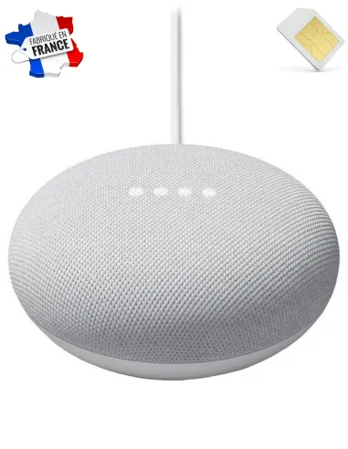 Assistant vocal - Google Nest mini - Micro espion GSM