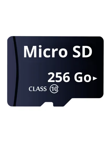 Carte mémoire Micro SD 256 Go - Securvision