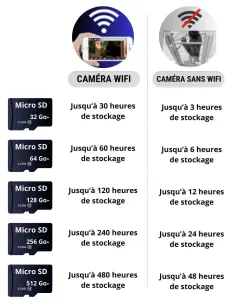 Carte mémoire Micro SD 256 Go - Securvision 2