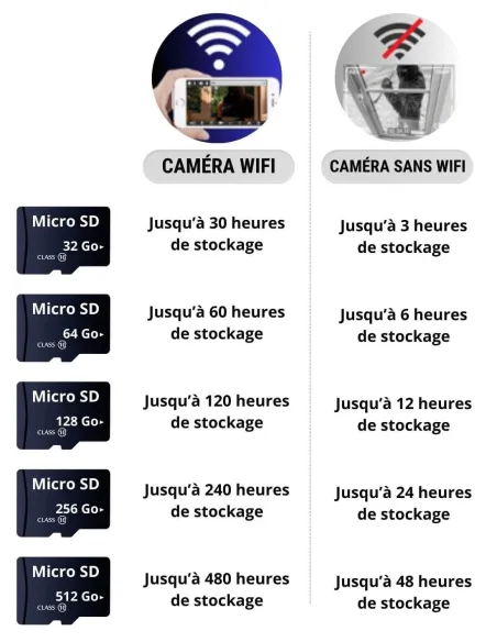 Carte mémoire Micro SD 32 Go - Securvision